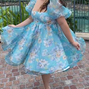 Puffy sleeve dress floral